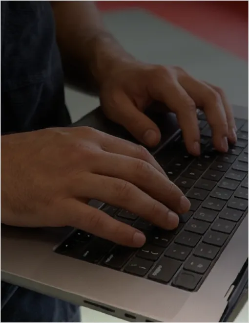 Insights e Analytics